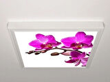 Gök Panel 60X60 LED Panel Aydınlatma Armatür Avize Sıva Üstü Desenli Tekli 46510720SU