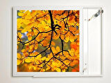 Gök Panel 60X60 LED Panel Aydınlatma Armatür Avize Sıva Üstü Desenli Tekli 46510762SU