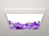 Gök Panel 60X60 LED Panel Aydınlatma Armatür Avize Sıva Üstü Desenli Tekli 46510871SU