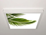 Gök Panel 60X60 LED Panel Aydınlatma Armatür Avize Sıva Üstü Desenli Tekli 46510917SU