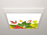 Gök Panel 60X60 LED Panel Aydınlatma Armatür Avize Sıva Üstü Desenli Tekli 46510968SU