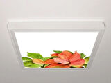 Gök Panel 60X60 LED Panel Aydınlatma Armatür Avize Sıva Üstü Desenli Tekli 46510980SU