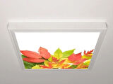 Gök Panel 60X60 LED Panel Aydınlatma Armatür Avize Sıva Üstü Desenli Tekli 46510992SU