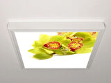 Gök Panel 60X60 LED Panel Aydınlatma Armatür Avize Sıva Üstü Desenli Tekli 46511000SU