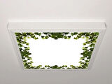 Gök Panel 60X60 LED Panel Aydınlatma Armatür Avize Sıva Üstü Desenli Tekli 46511019SU