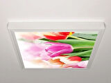 Gök Panel 60X60 LED Panel Aydınlatma Armatür Avize Sıva Üstü Desenli Tekli 46511112SU