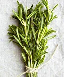 1 Adet Biberiye (Rosmarinus officinalis) Fidanı - Aromatik ve Dayanıklı Bitki, 2 Yaşında Tüplü