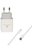 Micro USB Girişli Cihazlar için Newface C71 Micro USB 2.1A Seyahat Şarj Aleti