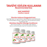 Alıç Kapsül (HAWTHORN CAPSULE)