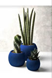 Omnipazar KRS Mercan Dekoratif Sukulent Kaktüs Plastik Saksı Takımı 3'lü Set Gece Mavisi