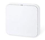 Planet PL-WDAP-C3000AX 2 Port Gigabit Dual Bant 3000Mbps Tavan Tipi Access Point