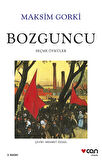 Bozguncu