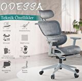 Odessa Fonksiyonel Çalışma Koltuğu