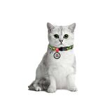 Collar QR Pasaportlu Kedi Boyun Tasması 20-30 Cm 10 MM "Avocado"