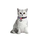 Collar QR Pasaportlu Kedi Boyun Tasması 20-30 Cm 10 MM "Purple Camo"