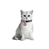Collar QR Pasaportlu Kedi Boyun Tasması 20-30 Cm 10 MM "Pink Camo"