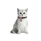 Collar QR Pasaportlu Kedi Boyun Tasması 20-30 Cm 10 MM "İndie"