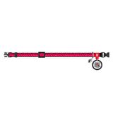 Collar QR Pasaportlu Kedi Boyun Tasması 20-30 Cm 10 MM "Watermelon"