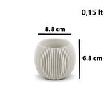 Omnipazar KRS Mercan Dekoratif Sukulent Kaktüs Plastik Saksı Takımı 3'lü Set Bej