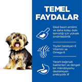 Hill's  Hassas Mide & Deri Yetişkin Küçük ve Mini Irk Tavuklu Köpek Maması 1.5 kg