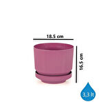 Omnipazar SO-S282 Dekoratif Tabaklı Lüks Çizgi Desenli Saksı 3.3 Litre