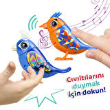 Digibirds İkili Paket Seri 1-SIL/88611
