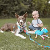 Max & Molly Little Monsters Gezdirme Kayışı-Medium