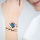 Just Cavalli JC1L358M0055