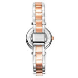 Dkny DK1L043M0095 Kol Saati