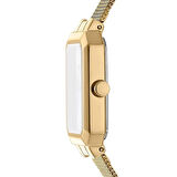 Dkny DK1L076M0135 Kol Saati