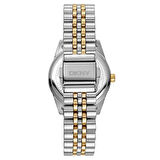 Dkny DK1L060M0065 Kadın Kol Saati