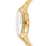 Dkny DK1L055M0055 Kol Saati