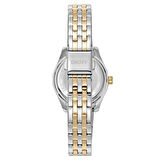 DKNY DK1L017M1085 Kadın Kol Saati