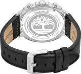 Timberland TDWGB0042008