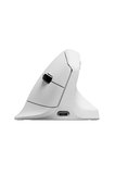 M5 Kablosuz Ergonomik Fares, En Iyi Pixart 3311 Sensörü ve Pixart 3950 Sensörüne Sahip. 2.4 Ghz, Blu