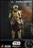 Hot Toys Shore Trooper Sixth Scale Figure TMS Star Wars: The Mandalorian 907515
