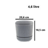 Omnipazar KRS-244 Pera Kare Dekoratif Kaktus Sukulent Saksı 4,6 Litre No 4