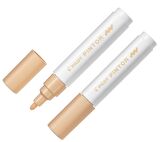 PILOT DEKORASYON KALEMİ PİNTOR M PASTEL TURUNCU SW-PT-M-PO