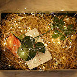 Peri Led Işık 5 Metre (Sarı) Pilli Aydınlatma Şerit Saçak Spot Süsleme (4915)