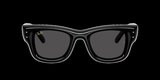 Ray-Ban RB4940 601/87 47 AAP ROCKY Unisex Güneş Gözlüğü