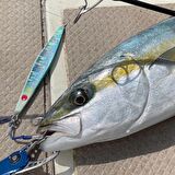 Vanfook Spear Hook SH-20 Asist İğne #4/0 (7Ad)