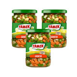 Tamek Garnitür 550 gr Cam x 3 Adet