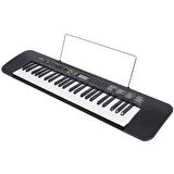 Casio CTK-240 49 Tuşlu Org (Adaptör Hediyeli)