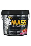 Bigjoy Sports Bıgmass Gainer Gh Factors 5000 gr Çilekli Gainer