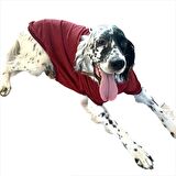 Bordo Tişört Büyük Köpekler İçin