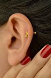 D Harfi Piercing Helix Kıkırdak Lob Tragus
