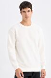 DeFacto Regular Fit Bisiklet Yaka Jakarlı Sweatshirt D5391AX24AUWT32