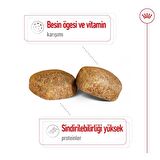 Royal Canin Dev Irklar için Yetişkin Köpek Maması 15 Kg