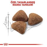 Royal Canin Indoor27 Yetişkin Kuru Kedi Maması 400g
