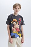 DeFacto Erkek Çocuk One Piece Bisiklet Yaka Kısa Kollu Tişört E3106A825SMAR126